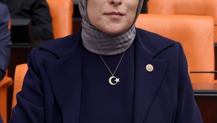 AK Parti Milletvekili Yazmacı, Şanlıurfa’nın kazı çalışmalarını TBMM’ye taşıdı