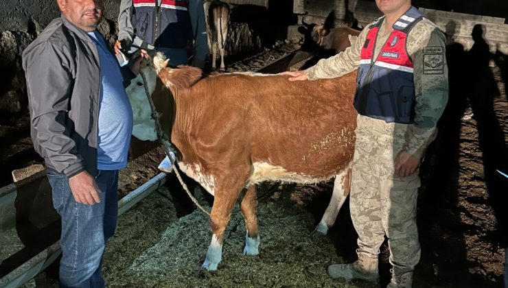 Şanlıurfa dan Hırsızelığıne geçit yok