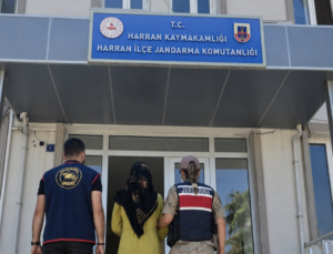 Dolandırıcılıktan 10 Yıl Hapis Cezası Bulunan Şahıs Harran’da Yakalandı