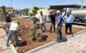 Eyyübiye’de Yeşillendirme Çalışmaları Hız Kesmiyor