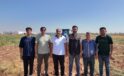 ŞANLIURFA’DA TARİHİ SAFRAN ÜRETİMİ BÜYÜKŞEHİR DESTEĞİYLE YENİDEN CANLANIYOR