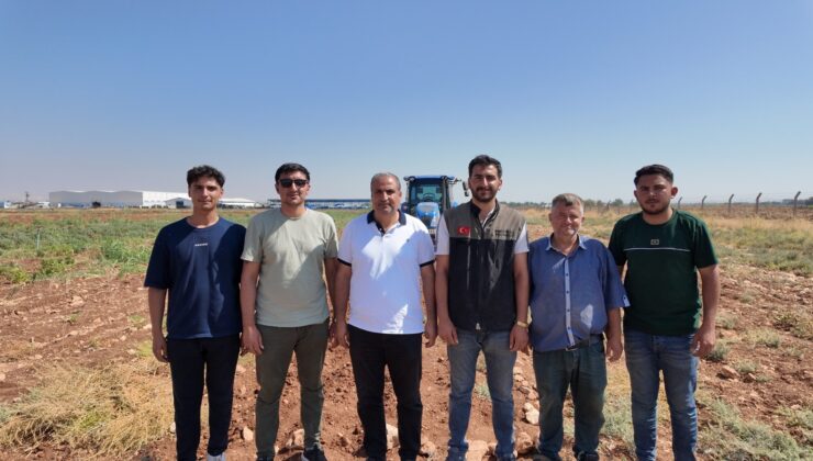 ŞANLIURFA’DA TARİHİ SAFRAN ÜRETİMİ BÜYÜKŞEHİR DESTEĞİYLE YENİDEN CANLANIYOR