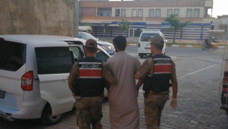 Şanlıurfa’da aranan şahıs jandarma ekiplerince yakalandı