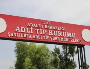 17yaşındaki genç ölü bulundu