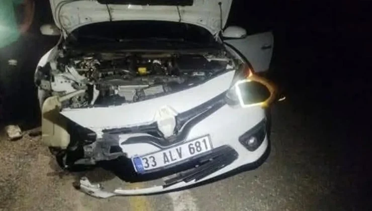 Şanlıurfaspor taraftarlarını taşıyan araç kaza yaptı