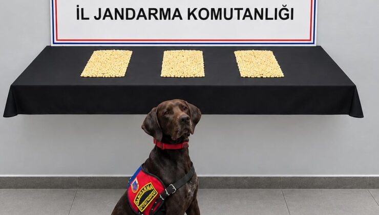 Şanlıurfa’da Uyuşturucu Operasyonu: 2 Bin 970 Captagon Hap Ele Geçirildi